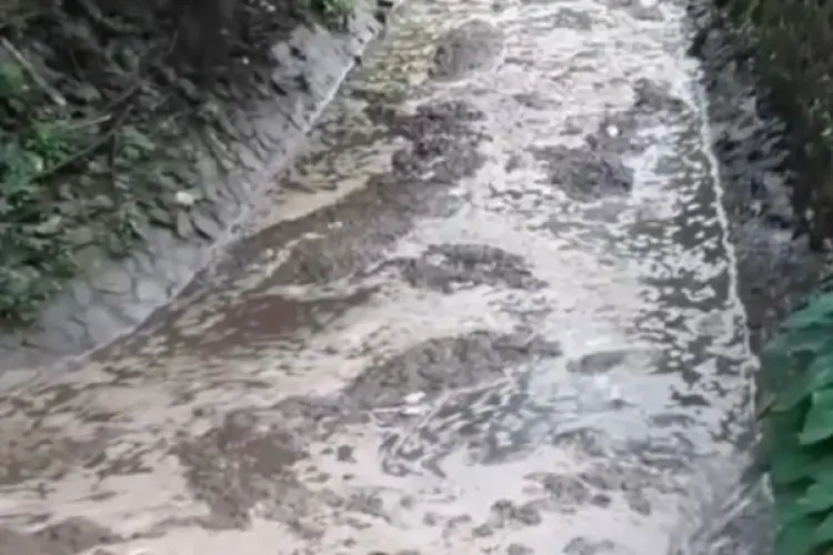 Soal Pencemaran Kotoran Hewan di Kanal Tjibarani, Ketua KPSBU Lembang Akui Belum ada Penampungan Kohe Bersama