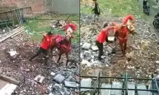 Viral! Aksi Kekerasan Terhadap Kuda di Cimahi Tuai Kecaman Netizen