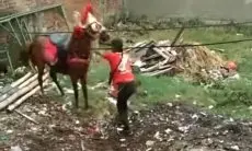Parah, Pria di Cimahi Tega Siksa Seekor Kuda Bertubi-tubi Viral di Media Sosial