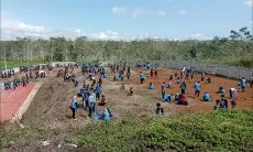 Jadi Pionir, Cisadane Resik dan PLN Gandeng Siswa Tanam 1.100 Pohon di Sukabumi