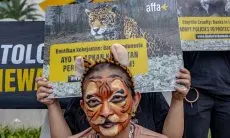 Organisasi Non-profit  Berupaya Dialog Dengan Bank untuk Tingkatkan Kebijakan  Kesejahteraan Hewan