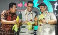 Kepala Bappenas Apresiasi Fasilitas R&D Sayuran Terbesar dan Terlengkap di Purwakarta Milik Ewindo