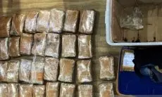 Polisi Sita Paket Ganja Seberat 7 Kilogram di Jakarta Barat