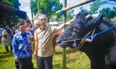 Dedie Resmi Membuka Bursa Hewan Qurban 2025,  Pastikan Kesehatan Hewan Terjamin