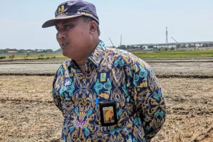 Saluran Irigasi Longsor di Kuningan, 4.500 Hektare Lahan Pertanian Kabupaten Cirebon Terdampak