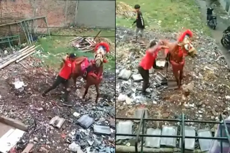 Viral! Aksi Kekerasan Terhadap Kuda di Cimahi Tuai Kecaman Netizen