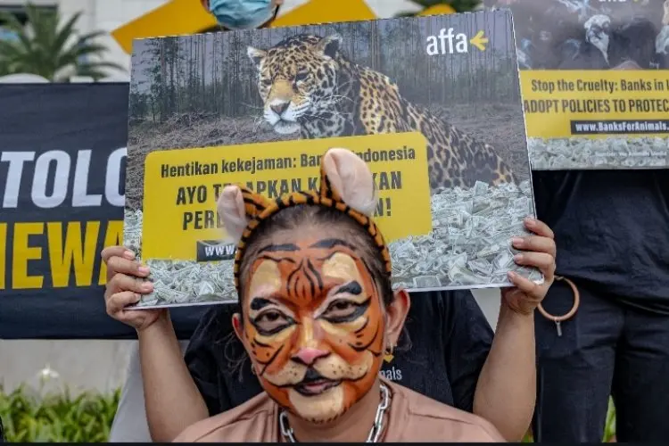 Organisasi Non-profit  Berupaya Dialog Dengan Bank untuk Tingkatkan Kebijakan  Kesejahteraan Hewan