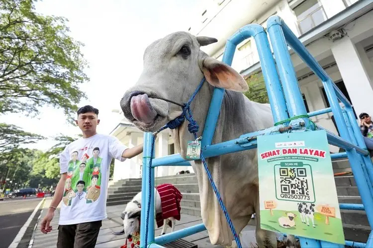 Kualitas Hewan Kurban Naik, DKPP Kota Bandung Tingkatkan Pemeriksaan