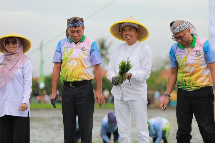 Dedi Mulyadi Dukung Swasembada Pangan Lewat Penanaman Padi di Lahan Aset Negara