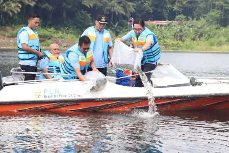 Strategi jaga Keseimbangan Ekosistem, Bupati Jeje Tebar 230 Ribu Bibit Ikan di Waduk Cirata