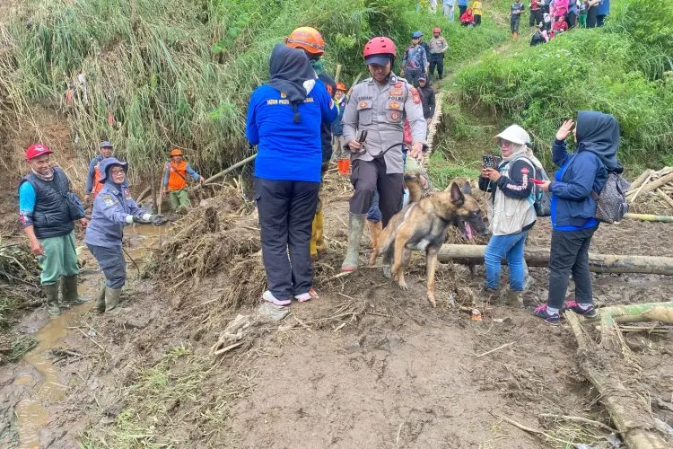 Meski Turunkan Anjing Pelacak, Pencarian Korban Longsor di Cikahuripan Lembang Belum Membuahkan Hasil