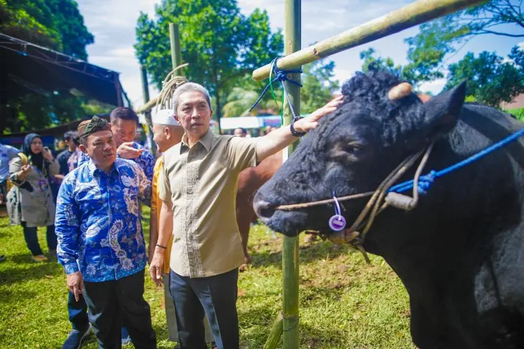 Dedie Resmi Membuka Bursa Hewan Qurban 2025,  Pastikan Kesehatan Hewan Terjamin