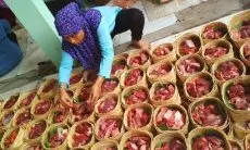 Antisipasi Lonjakan Sampah Pasca Iduladha, Pemkot Cimahi Imbau Warga Gunakan Besek dan Daun Pisang untuk Bungkus Daging Kurban