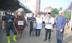 Kapolda Jabar Sumbangkan Dua Ekor Sapi Limosin untuk Pesantren