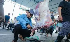 DKPP Jabar Prediksi Jumlah Hewan Kurban yang Disembelih Turun Dibanding Tahun Lalu