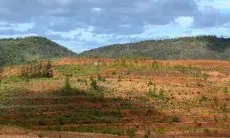 Reklamasi Tambang Nikel di Pulau Gag Dinilai Baik, Kementerian ESDM Sebut Tambang Nikel Raja Ampat Tertata