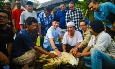 Wujudkan Sinergi, Pemkot Bogor dan PWI Salurkan Hewan Kurban untuk Warga