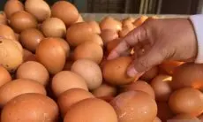 Harga Telur dan Cabai Rawit Kembali Naik
