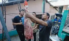 Wali Kota : Proses Kurban Lancar, Hanya Sedikit Organ Yang Tidak Laik
