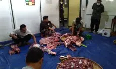 DKPP Kota Bandung Catat Penurunan Temuan Penyakit di Tahun Ini