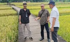 Penyerapan Gabah dan Beras Petani, Bulog Bogor Over Target