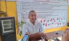 Wali Kota Bandung Imbau Warga Tak Sembarangan Beri Makan Kucing Liar