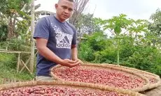 Cara Pemuda Asal Kampung Sukalaksana Pertahankan Usaha dan Sejahterakan Petani Kopi Gununghalu
