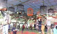 Hut Bhayangkara, Polretabes Bandung Gelar Lomba Burung Kicau