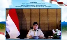 47 PLTS Diresmikan Presiden, 5.383 Rumah Tangga di Wilayah 3T Kini Nikmati Listrik Bersih