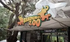 Gubernur Dedi Mulyadi Minta Pemkot Bandung Selesaikan Dualisme Bandung Zoo