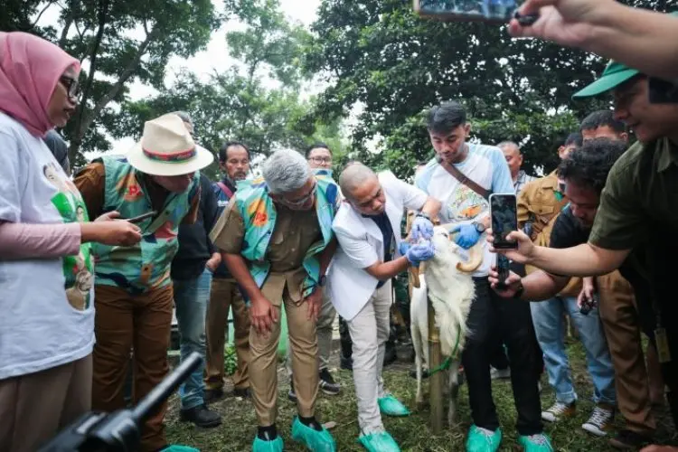 Lingkungan dan Keamanan Jadi Prioritas dalam Pelaksanaan Iduladha 1446 H