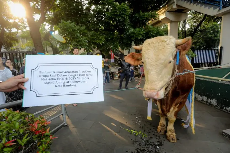 Di Kota Bandung, Kurban Terdistribusi Merata, Sampah Terkendali