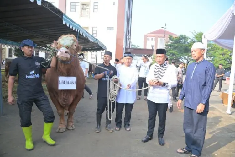 Kapolda Jabar Sumbangkan Dua Ekor Sapi Limosin untuk Pesantren