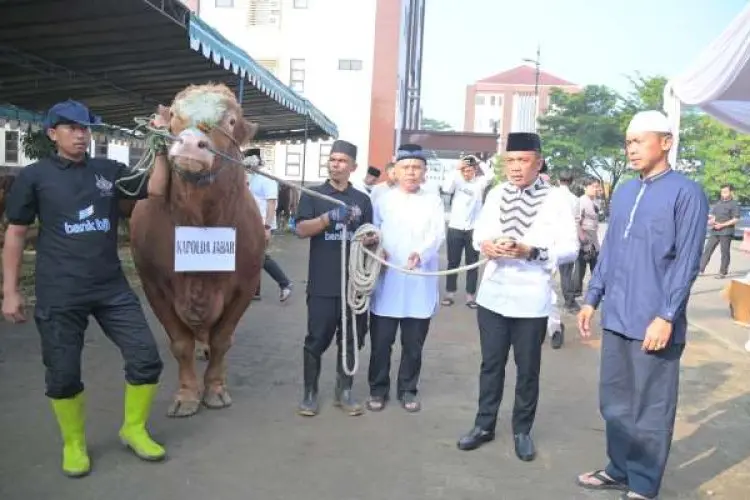 Kapolda Jabar Sumbangkan Dua Ekor Sapi Kurban Limosin untuk Pesantren