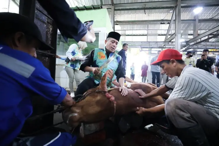 Erwin Sembelih Sapi Kurban dari Presiden RI dan Wali Kota Bandung