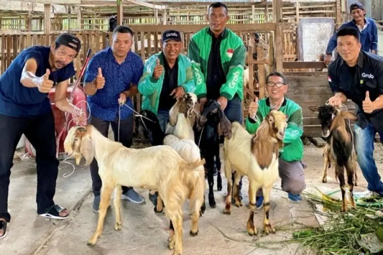 Ratusan Ekor Kambing Dibagikan kepada Mitra Pengemudi Sebagai Apresiasi Grab dalam Semarak Iduladha 1446 H