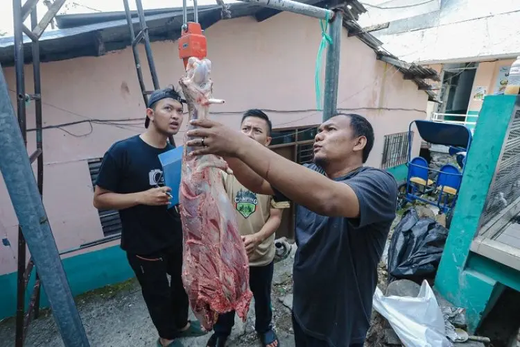 Wali Kota : Proses Kurban Lancar, Hanya Sedikit Organ Yang Tidak Laik