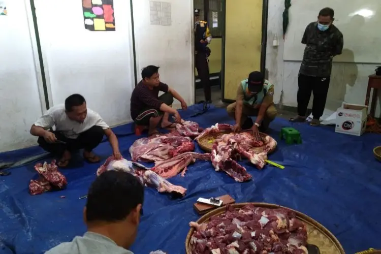 DKPP Kota Bandung Catat Penurunan Temuan Penyakit di Tahun Ini