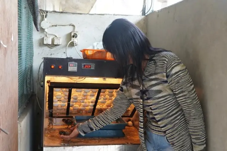 Stimulan Dana hingga Miliaran Rupiah, Pertamina Buka Kompetisi PFsains untuk Pengembangan Produk Riset