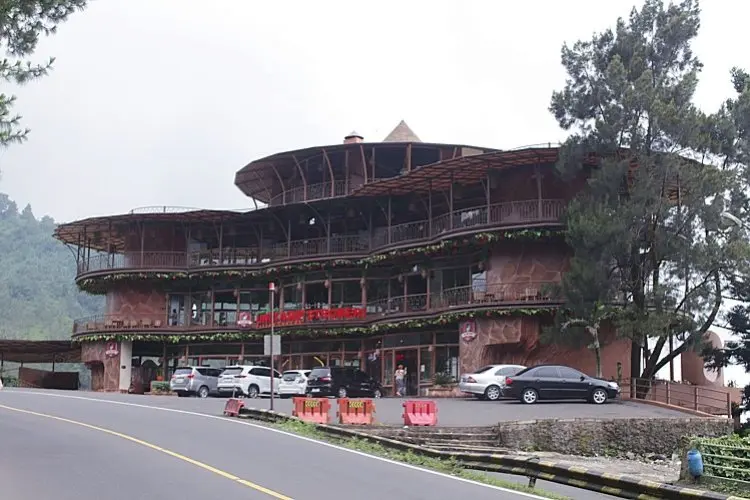 Pemkab Bogor Ancam Bongkar Resto Liwet Asep Stroberi Puncak, Ada Apa?