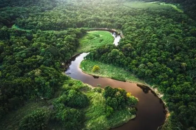 Rating Rinjani di Google Maps Turun Imbas Kematian Juliana, Netizen Indonesia Balas Komentar Negatif di Hutan Amazon