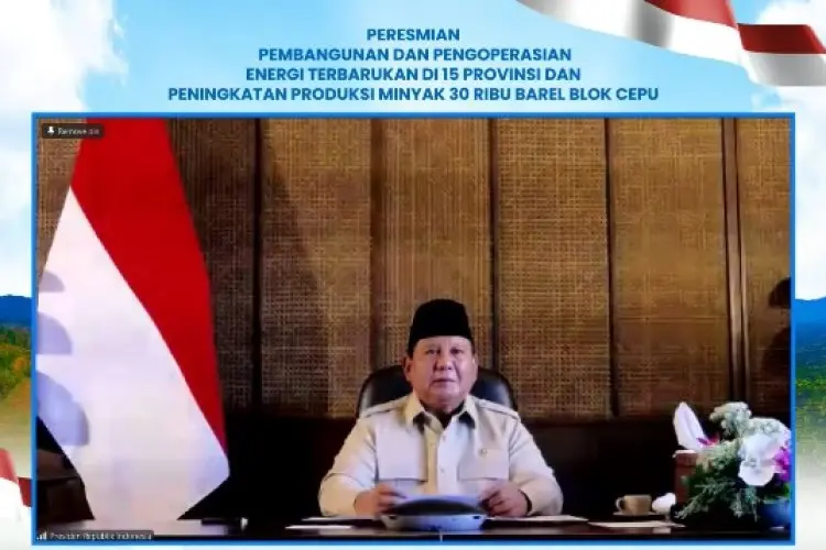 47 PLTS Diresmikan Presiden, 5.383 Rumah Tangga di Wilayah 3T Kini Nikmati Listrik Bersih