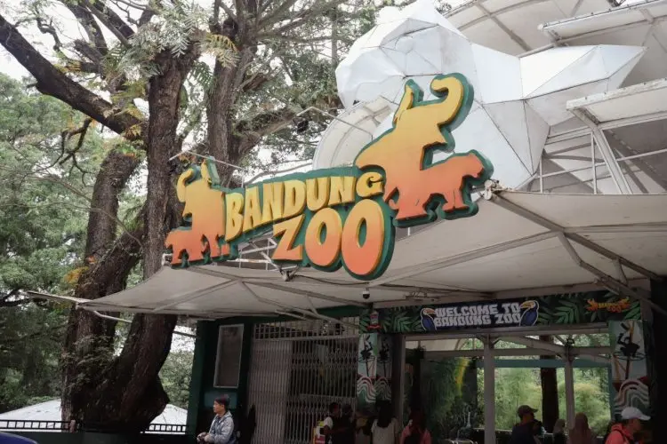 Gubernur Dedi Mulyadi Minta Pemkot Bandung Selesaikan Dualisme Bandung Zoo