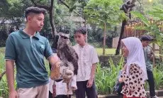 Konflik Internal Tak Kunjung Usai, Farhan Ancam Evaluasi Izin Kebun Binatang Bandung