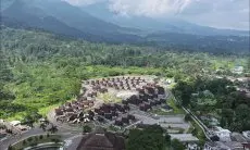 Pasca Longsor, Bupati Rudy Susmanto Tanam 1.000 Pohon di Kawasan Puncak