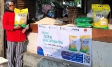 Mulai Bulan Ini, Bulog Jabar Siap Sebarkan 209.165 Ton Beras SPHP Juli–Desember 2025