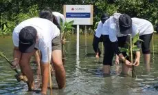 Dukung Pelestarian Pesisir, Sompo Insurance Tanam Mangrove di Tanjungpakis Karawang