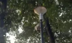 Viral Suara Desahan di Speaker GBK, Manajemen Minta Maaf dan Lakukan Evaluasi