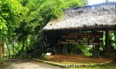Apresiasi Warga Kampung Adat Cireundeu yang Konsumsi Rasi, Komunitas Aliran Kepercayaan Jabar: Mereka Pelopor Konsep Ketahanan Pangan