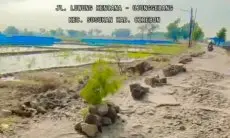 12 Tahun Jalan Rusak Diabaikan, Warga Desa Luwungkencana Protes Bangun Kuburan dan Boneka Pocong